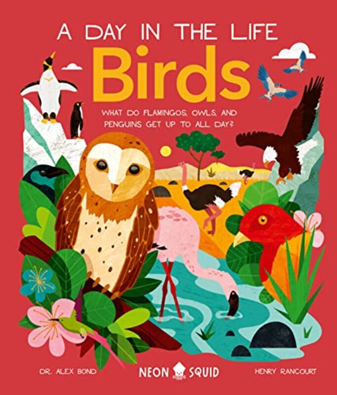 Birds A Day in the Life by Jeremy Harris University of Nebraska at Omaha USA Lipschultz-Hardcover