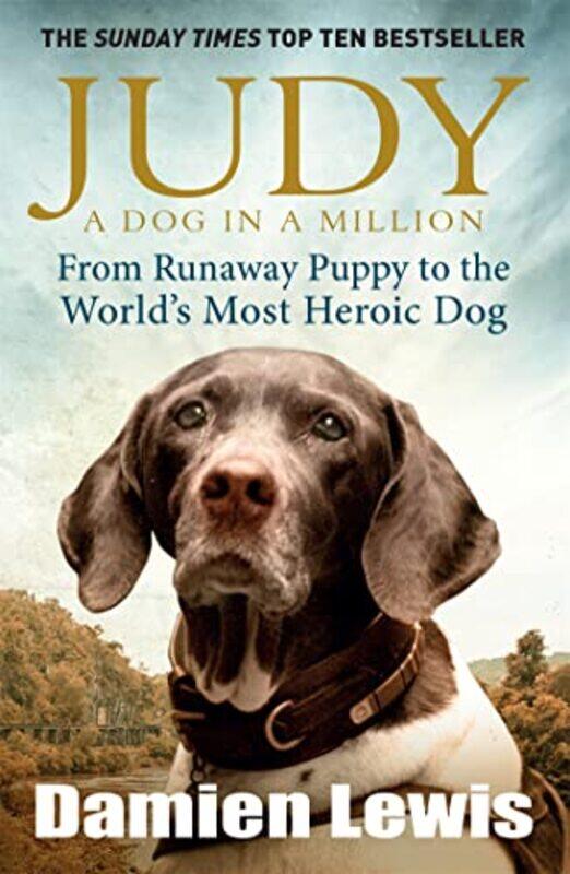 

Judy A Dog in a Million by Damien Lewis-Paperback