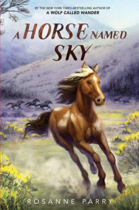 

A Horse Named Sky by Rosanne ParryKirbi Fagan-Hardcover