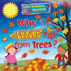 Why Do Leaves Fall From Trees? by Ruth Owen-Paperback