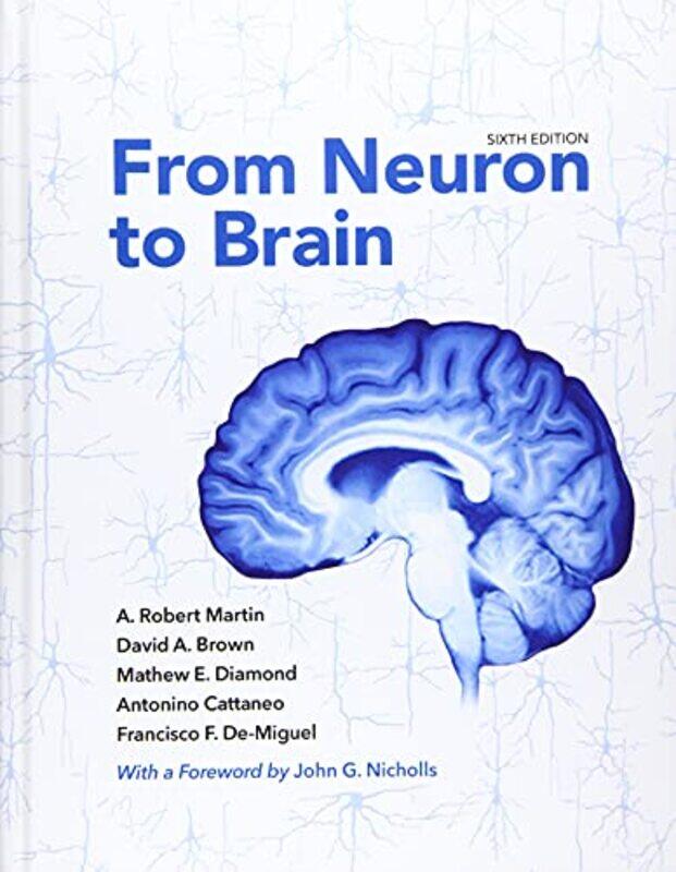 

From Neuron to Brain by Sara TrailTeresa Duryea Wong-Hardcover