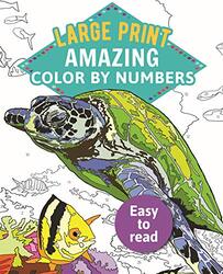 Amazing Color by Numbers Large Print by Arcturus Publishing Paperback