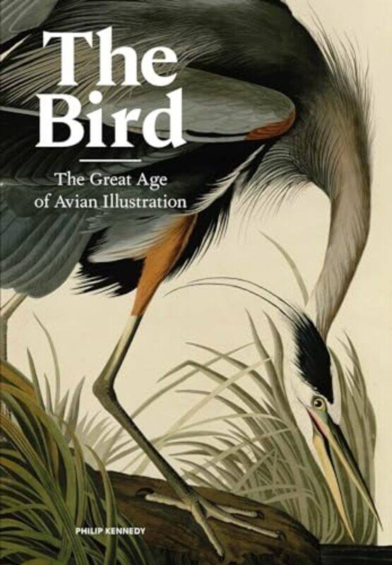 

The Bird by James Canton-Hardcover