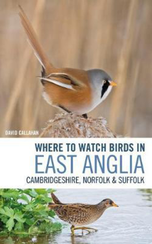 Where to Watch Birds in East Anglia: Cambridgeshire, Norfolk and Suffolk, Paperback Book, By: David Callahan