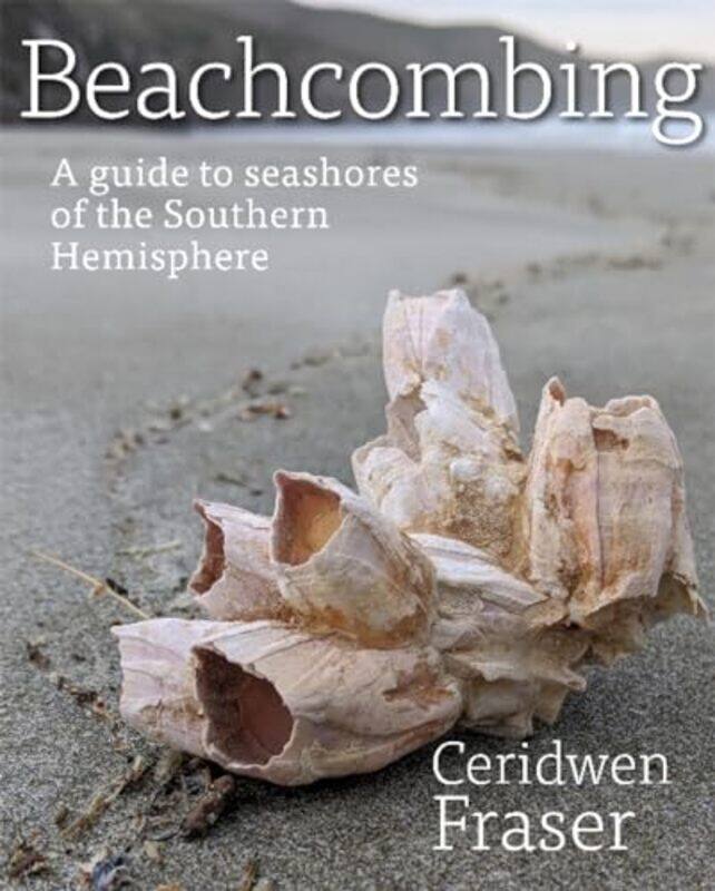 

Beachcombing by Richard Department of Engineering Science University of Oxford Stone-Paperback