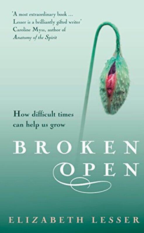 

Broken Open by Elizabeth Lesser-Paperback