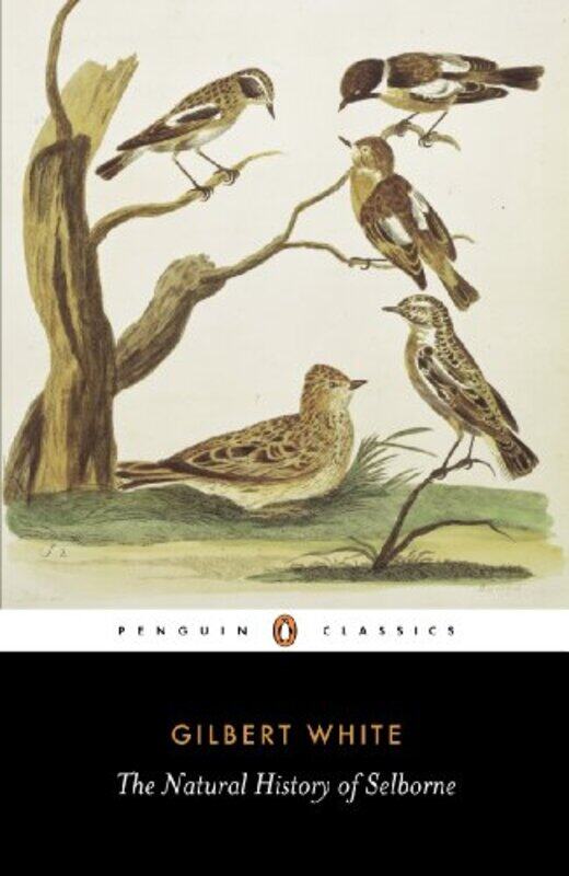 

The Natural History of Selborne by Gilbert WhiteRichard Mabey-Paperback