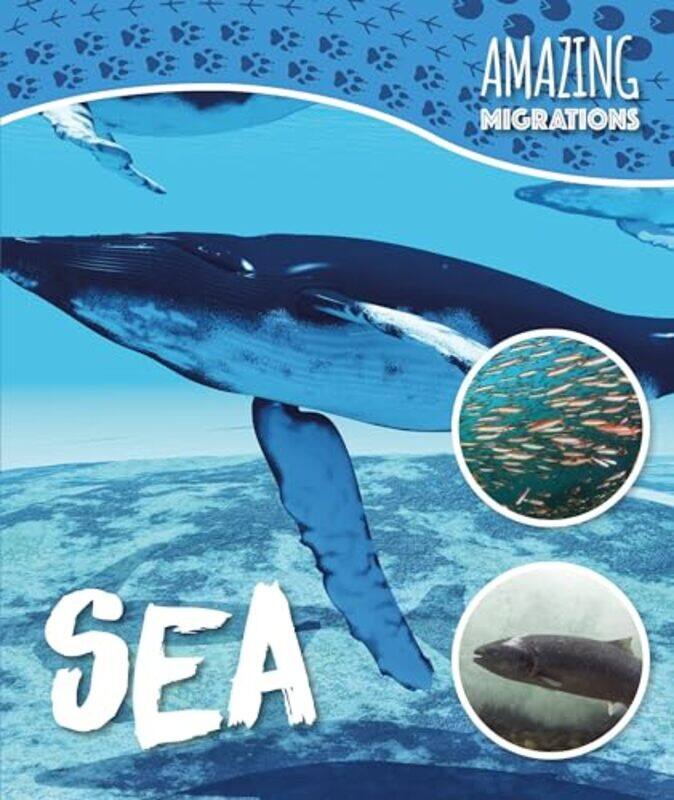 

Sea by Paul Harrison-Hardcover