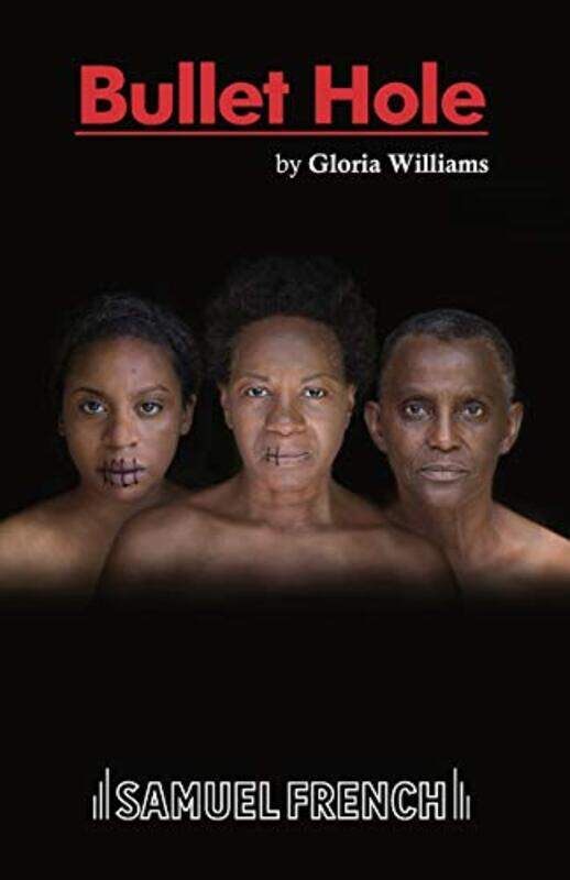 

Bullet Hole by Gloria Williams-Paperback