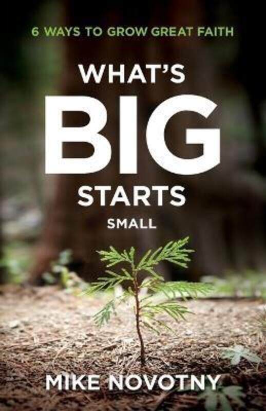 

What's Big Starts Small: 6 Ways to Grow Great Faith,Paperback,ByNovotny, Mike