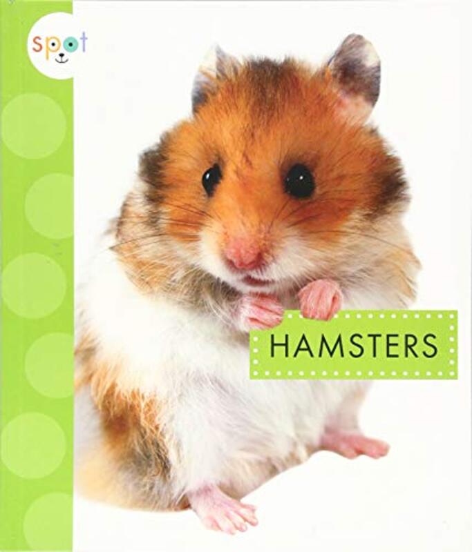 Hamsters Schuh, Mari C Paperback