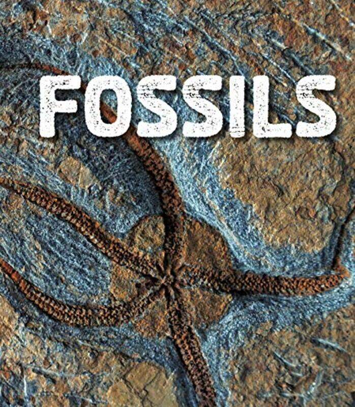 

Fossils by Ava Sawyer-Paperback