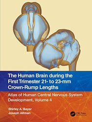 The Human Brain during the First Trimester 21 to 23mm CrownRump Lengths by Andrew Royle-Paperback