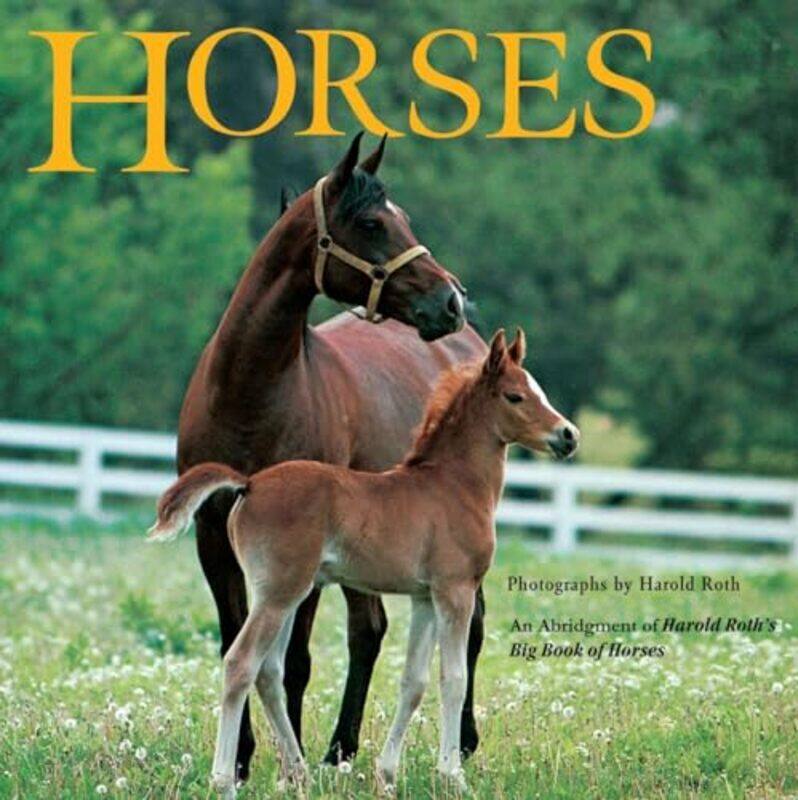 

Horses All Aboard 8X8 By All Aboard - Paperback