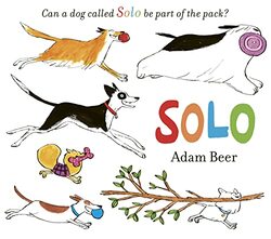 Solo by Adam Beer-Hardcover