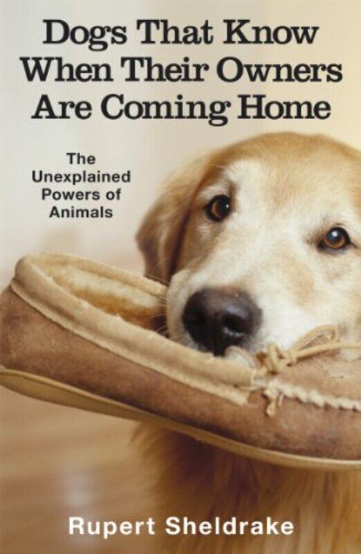 

Dogs That Know When Their Owners Are Coming Home by Henry SilkeFergal QuinnMaria Rieder-Paperback