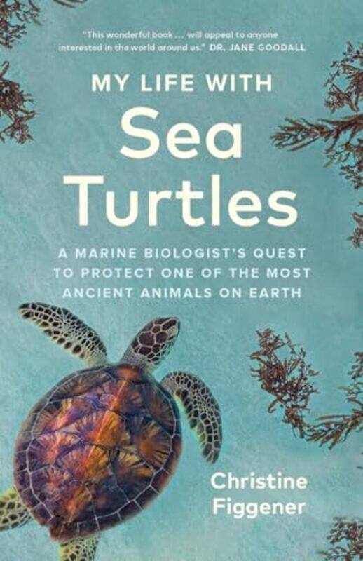 

My Life With Sea Turtles By Figgener Christine - Hardcover