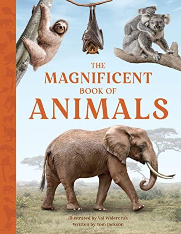 

The Magnificent Book of Animals by Roisin Cure-Hardcover