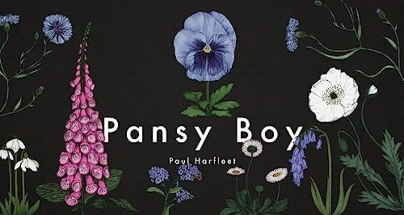 

Pansy Boy by Paul Harfleet-Hardcover