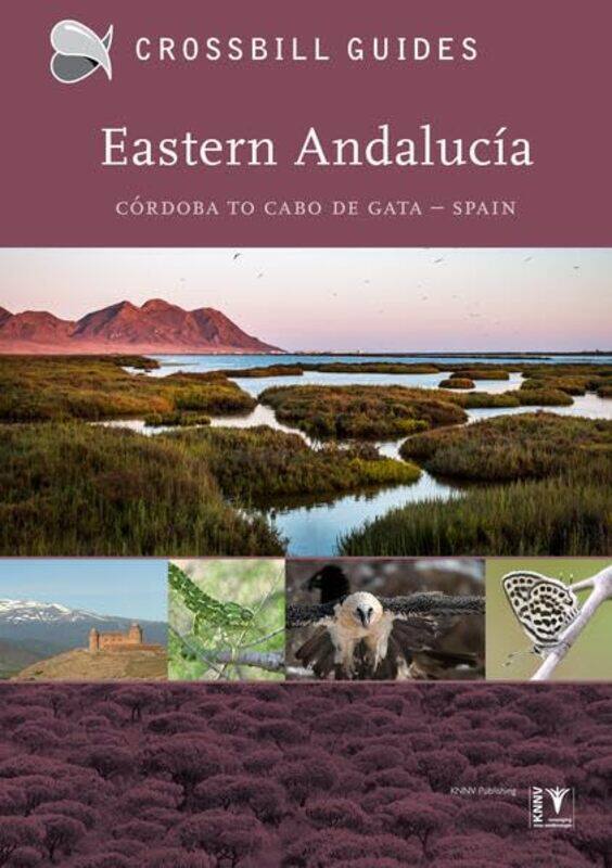 

Eastern Andalucia by Anne Sverdrup-ThygesonLucy Moffatt-Paperback