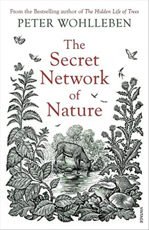 

The Secret Network of Nature by Peter Wohlleben-Paperback