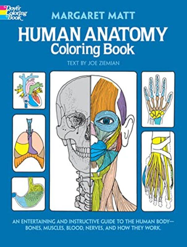 

Human Anatomy by Margaret Matt-Paperback