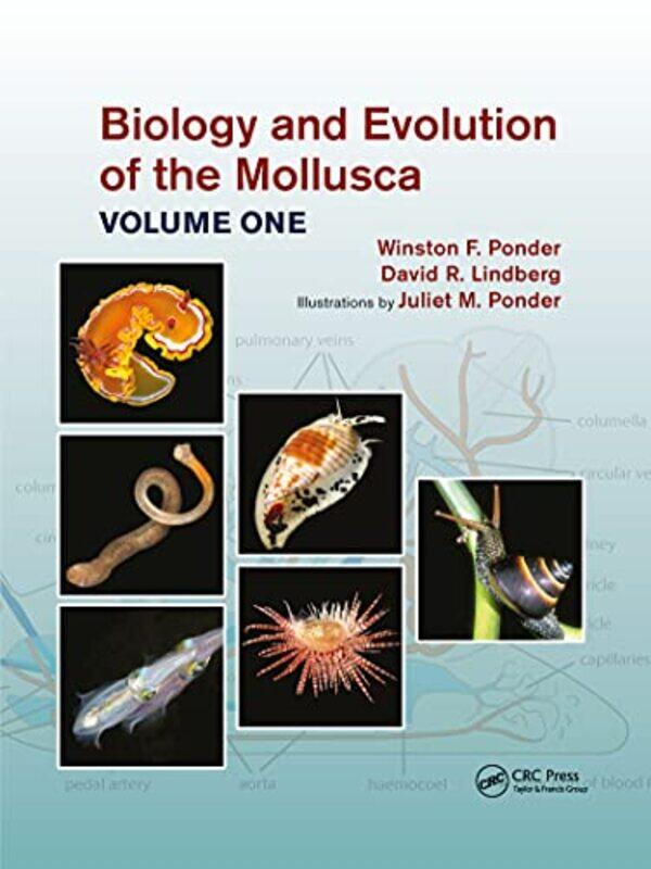 

Biology and Evolution of the Mollusca Volume 1 by Winston Frank PonderDavid R University of California, USA LindbergJuliet Mary Ponder-Paperback