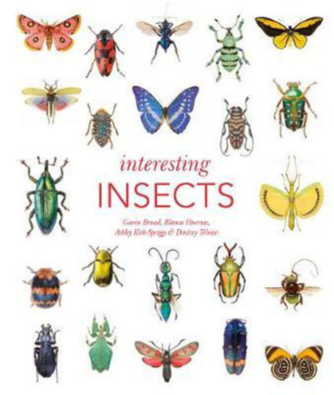 

Interesting Insects, Hardcover Book, By: Gavin Broad