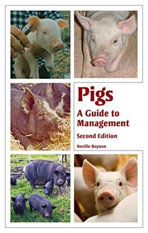 

Pigs by J Rafael Angel-Paperback