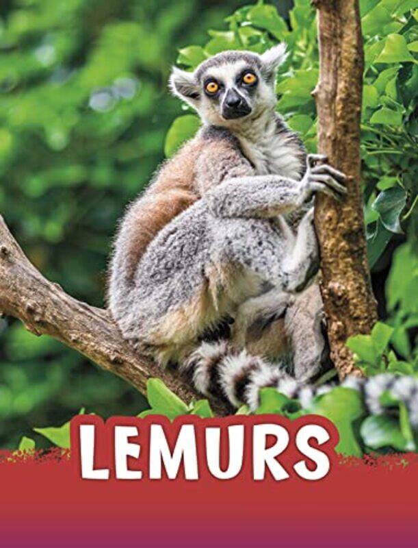 

Lemurs by Debabrata Mukherjee-Paperback