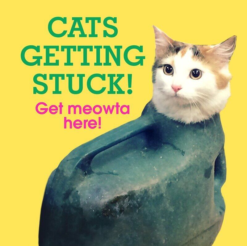 

Cat's Getting Stuck!, Hardcover Book, By: Ebury Press