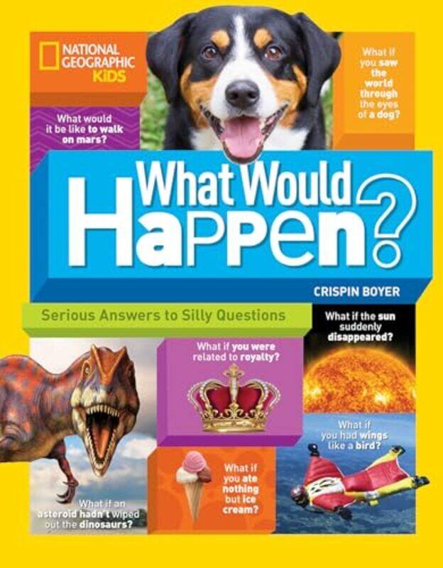 

Ngk What Would Happen by Crispin Boyer Paperback