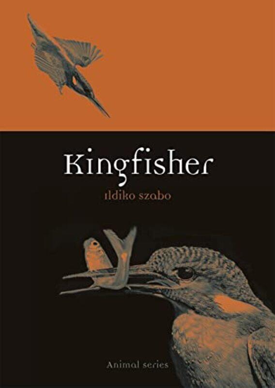 

Kingfisher by Dr Harvey Marcovitch-Paperback