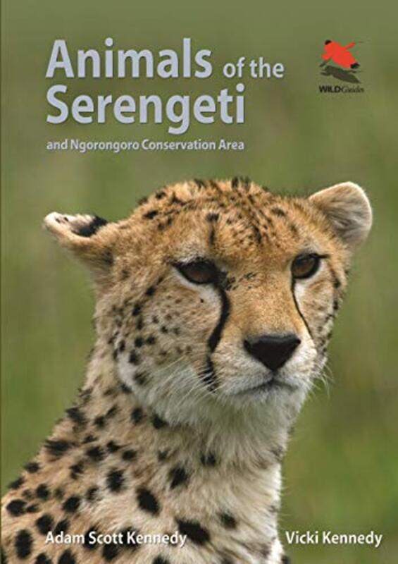 

Animals of the Serengeti by M Anne University of Calgary KatzenbergAnne L Loyola University of Chicago Illinois Grauer-Paperback