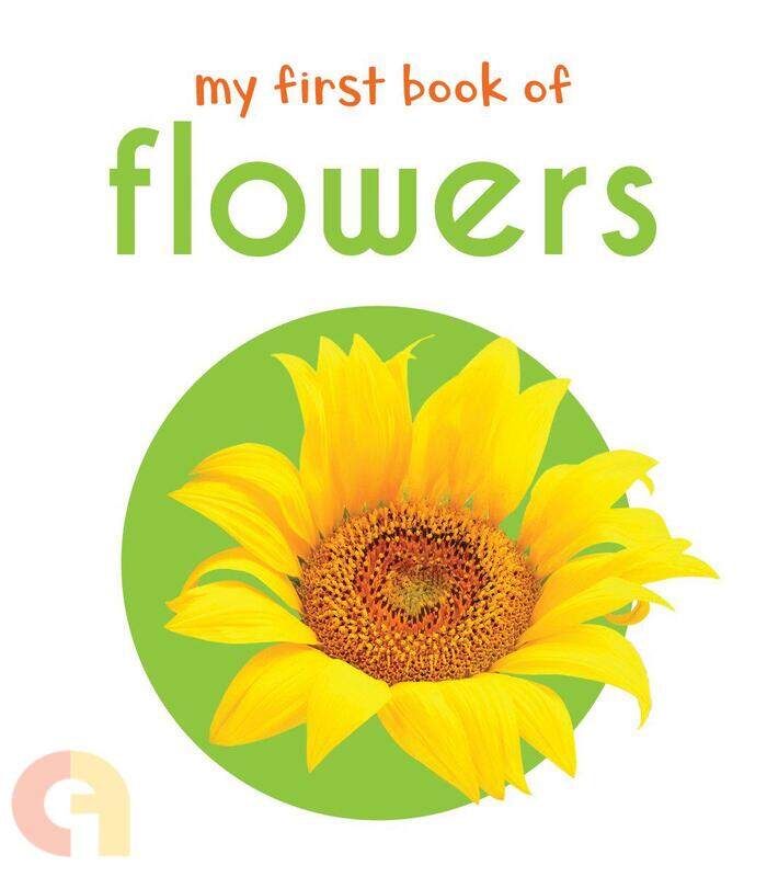 

My First Book Of Flowers: First Board Book, Board Book, By: Wonder House Books
