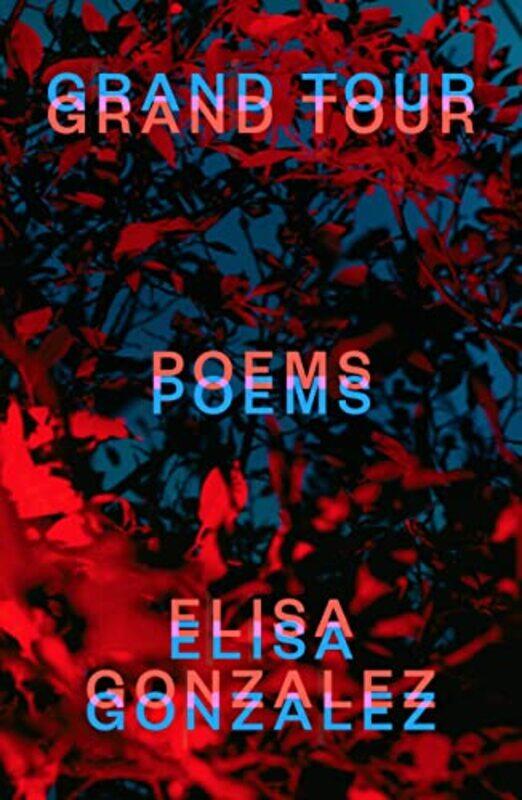 

Grand Tour By Gonzalez Elisa - Paperback