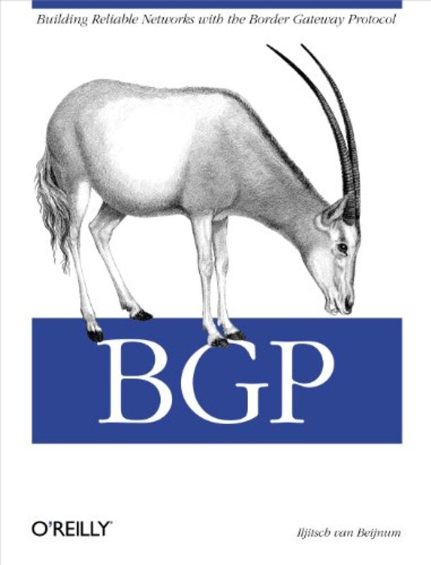 BGP by Przemyslaw BiecekTomasz Hasselt University Belgium Burzykowski-Paperback