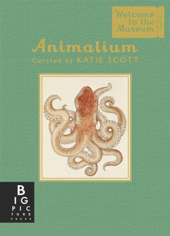 Animalium Mini Gift Edition by Kenneth V Drexel University USA HardyToby Pacifica Graduate Institute California USA Bobes-Hardcover