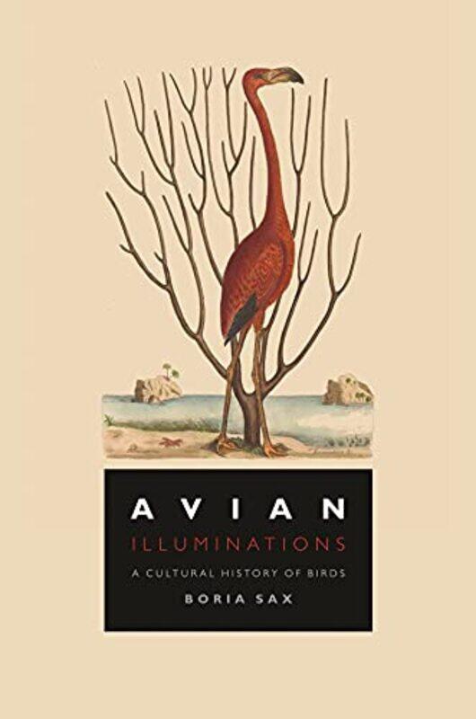 

Avian Illuminations by Boria Sax-Hardcover