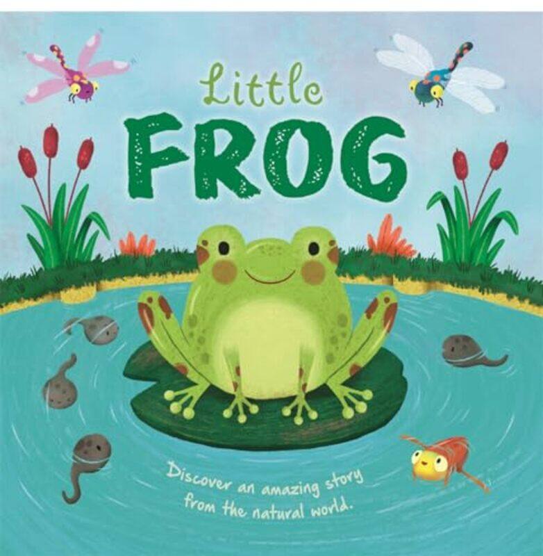 

Little Frog by Autumn Publishing-Hardcover