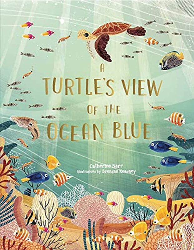A Turtles View of the Ocean Blue,Hardcover by Barr, Catherine - Kearney, Brendan