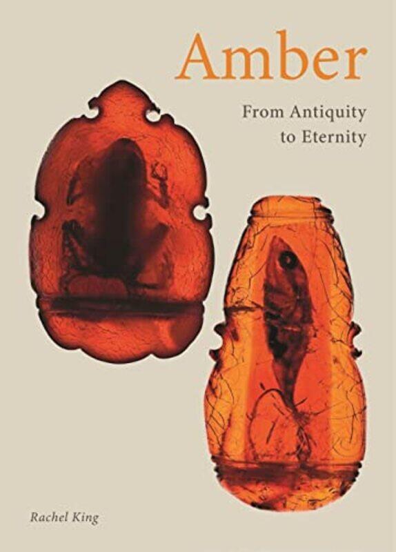 

Amber by Rachel King-Hardcover