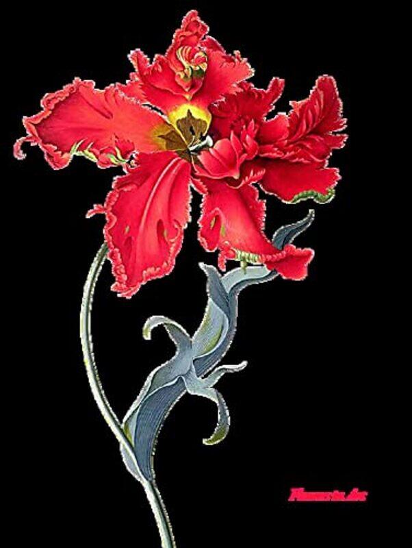 

The Book of the Flower by Jiang Liping-Paperback