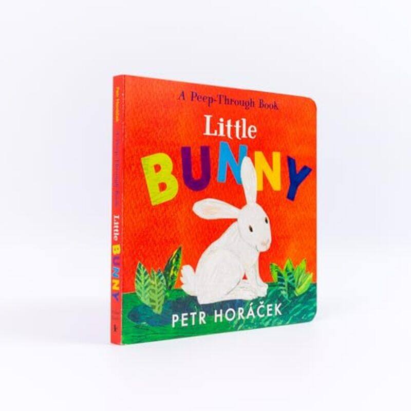 

Little Bunny by Petr HoracekPetr Horacek -Other Book Format