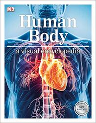 Human Body: A Visual Encyclopedia , Paperback by DK