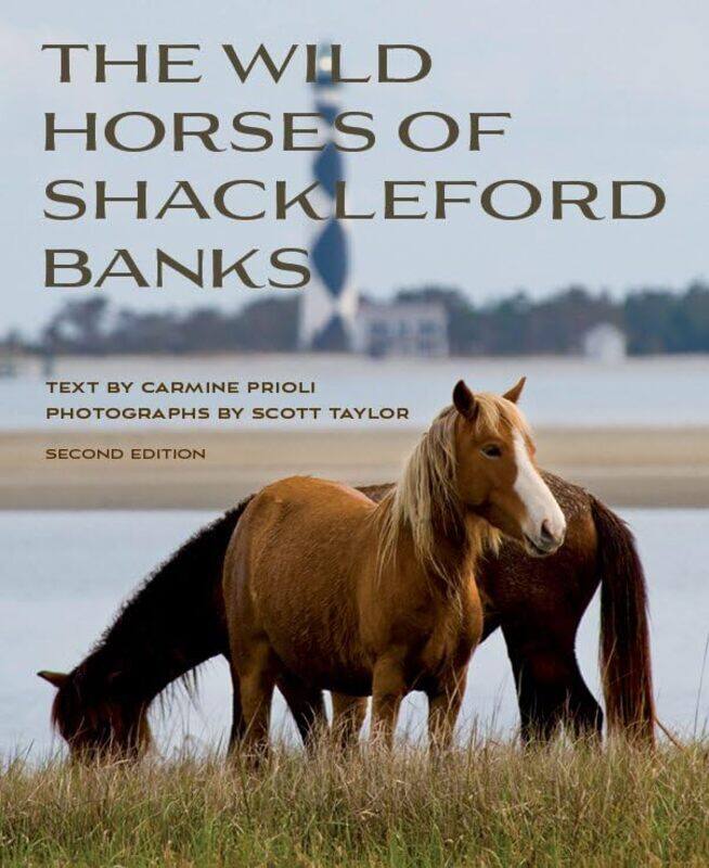 

Wild Horses of Shackleford Banks-Paperback