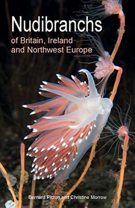 

Nudibranchs Of Britain Ireland And Nw Euro By Picton Bernard - Paperback