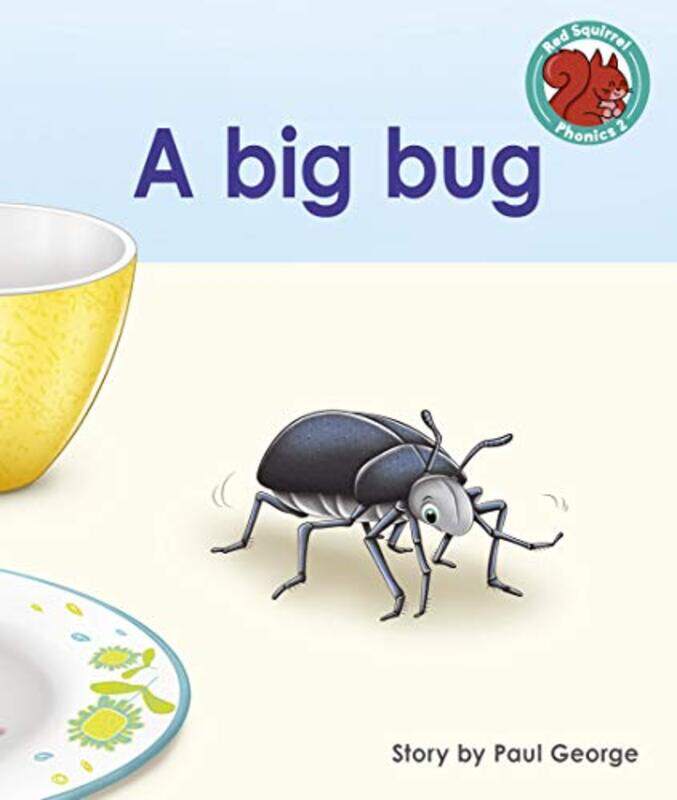 A Big Bug By George, Paul Paperback