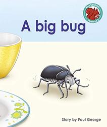 A Big Bug By George, Paul Paperback
