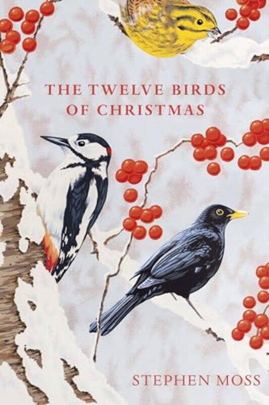 

The Twelve Birds of Christmas by Wes Nisker-Hardcover